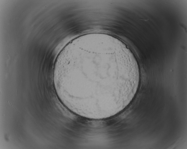 X0000103971244200810101301