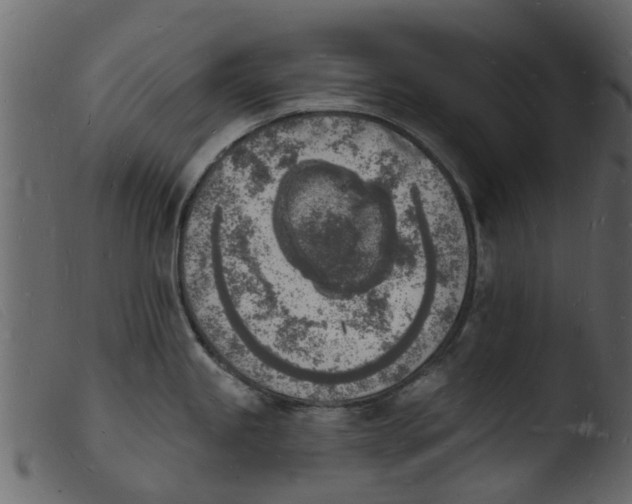 X0000103971245200810101301