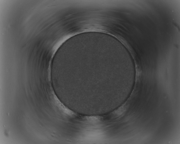 X0000103971246200810101301