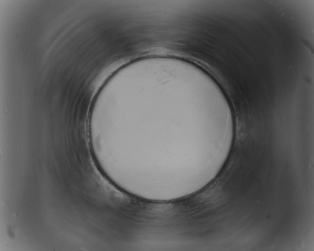 X0000103971247200810101301