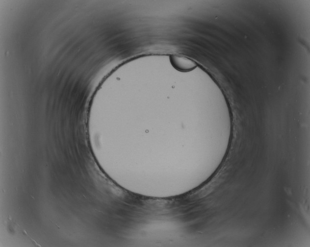 X0000103971248200810101301