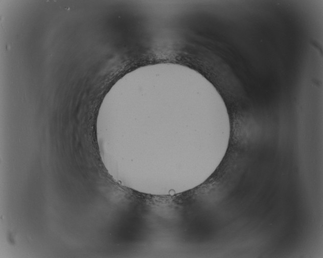 X0000103971249200810101300