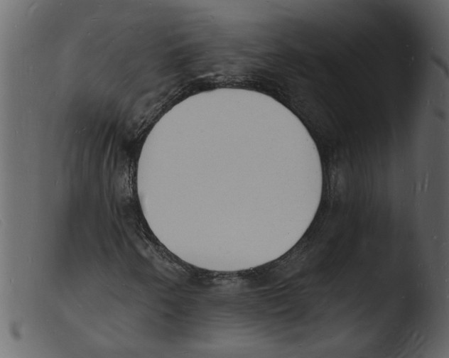 X0000103971250200810101300