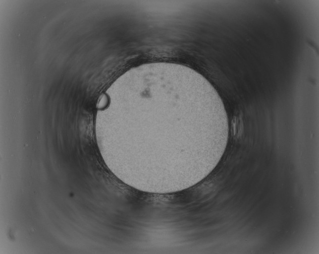 X0000103971251200810101300