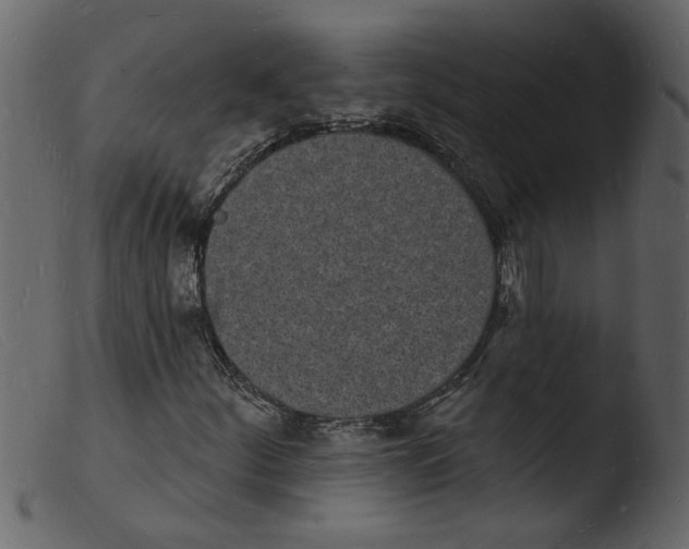 X0000103971252200810101300