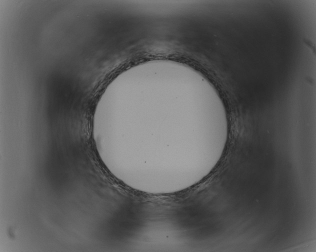 X0000103971253200810101300