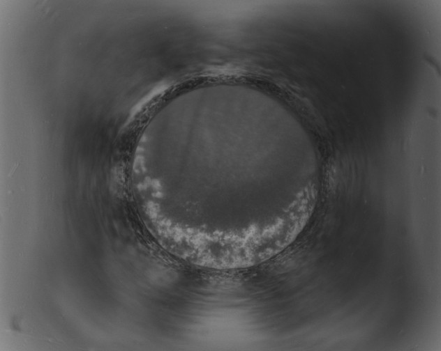 X0000103971254200810101300