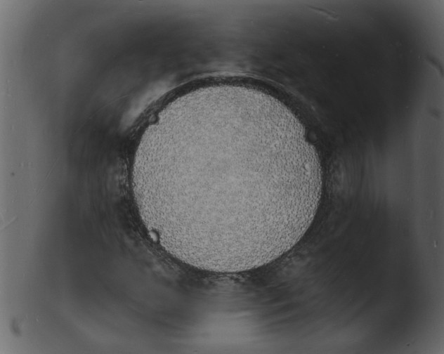 X0000103971255200810101300