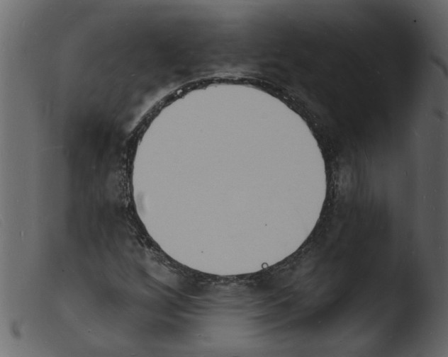 X0000103971256200810101300