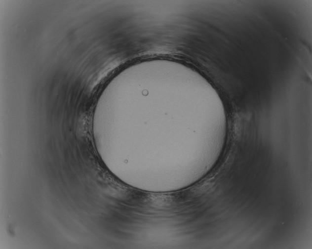 X0000103971258200810101300