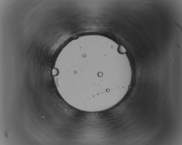 X0000103971259200810101300