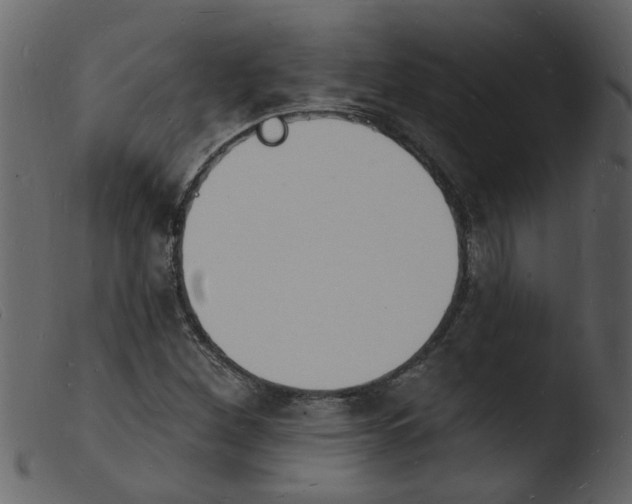 X0000103971260200810101300