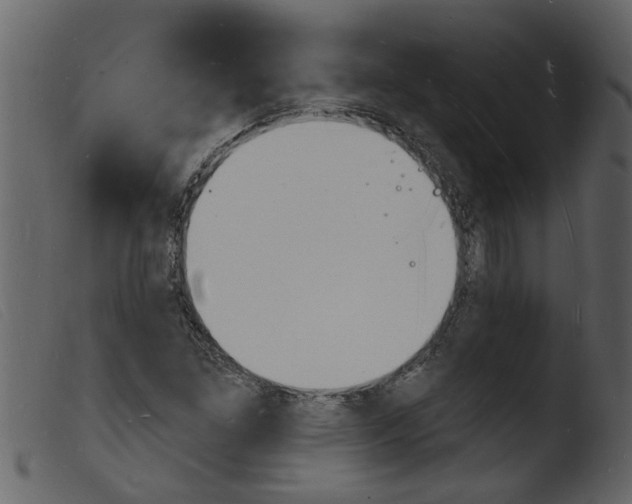 X0000103971261200810101300