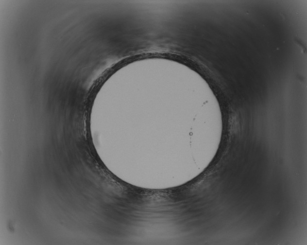 X0000103971262200810101300