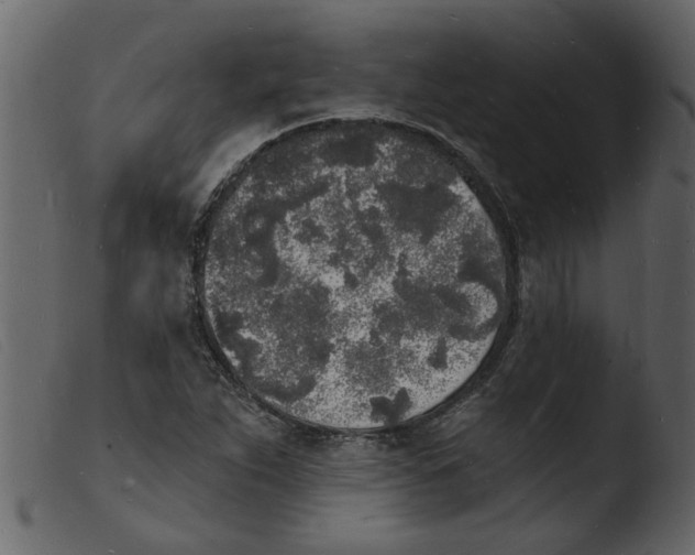 X0000103971263200810101300