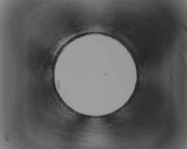 X0000103971264200810101300