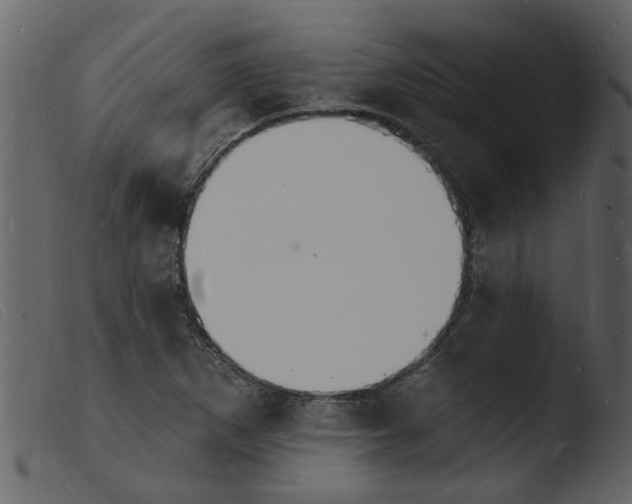 X0000103971265200810101300