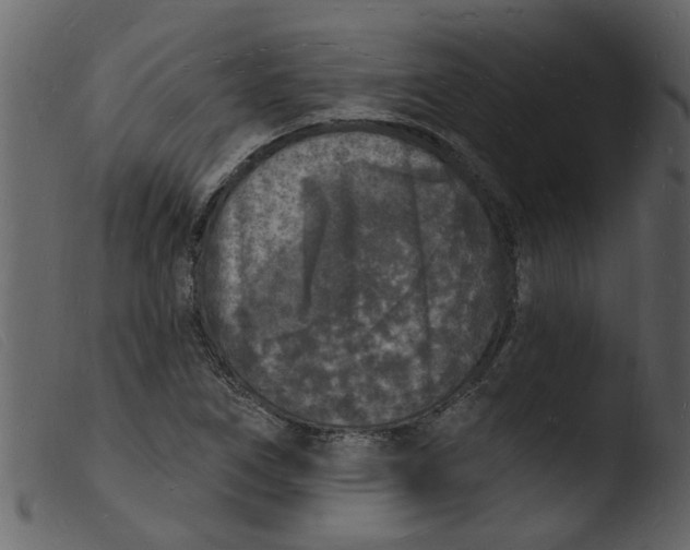 X0000103971266200810101259