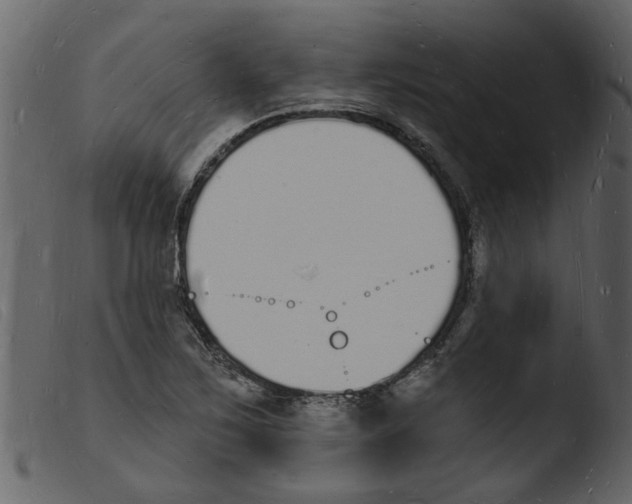 X0000103971267200810101259