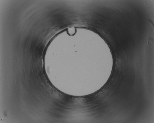 X0000103971268200810101259