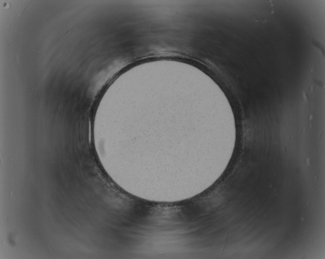 X0000103971269200810101259