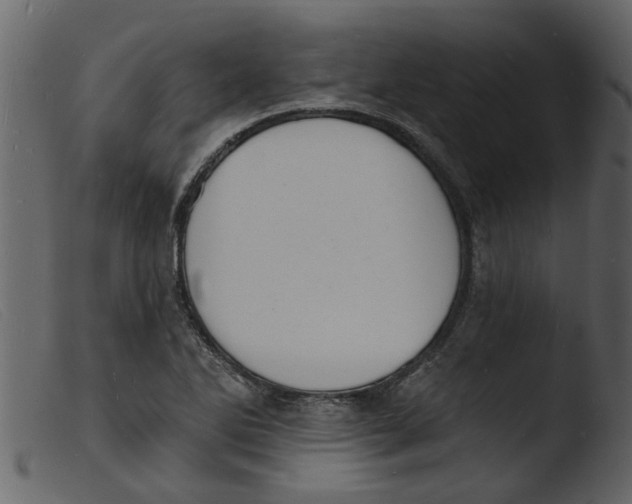 X0000103971270200810101259