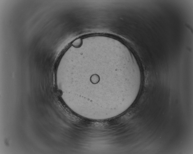 X0000103971271200810101259