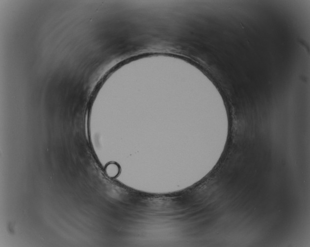 X0000103971272200810101259