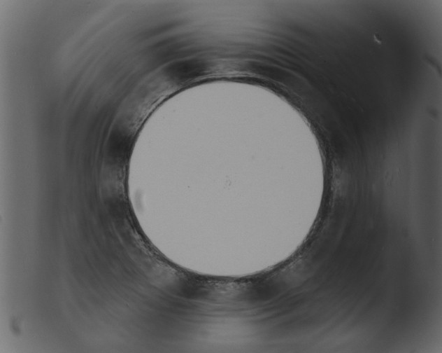 X0000103971273200810101259