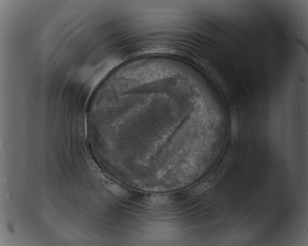 X0000103971274200810101259