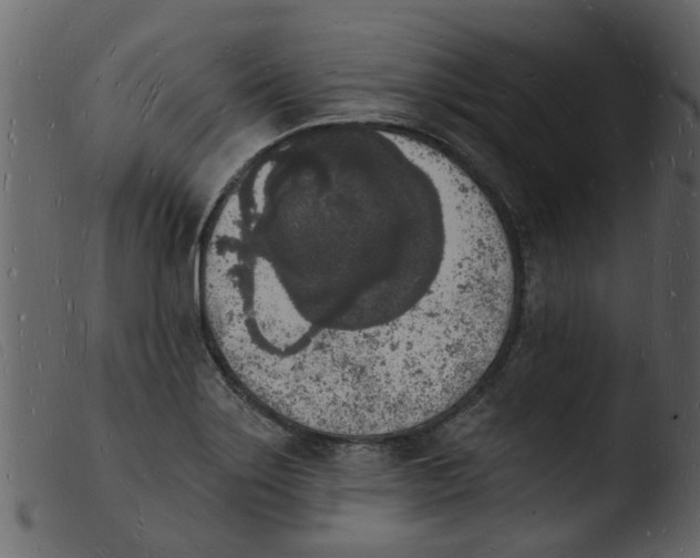 X0000103971275200810101259