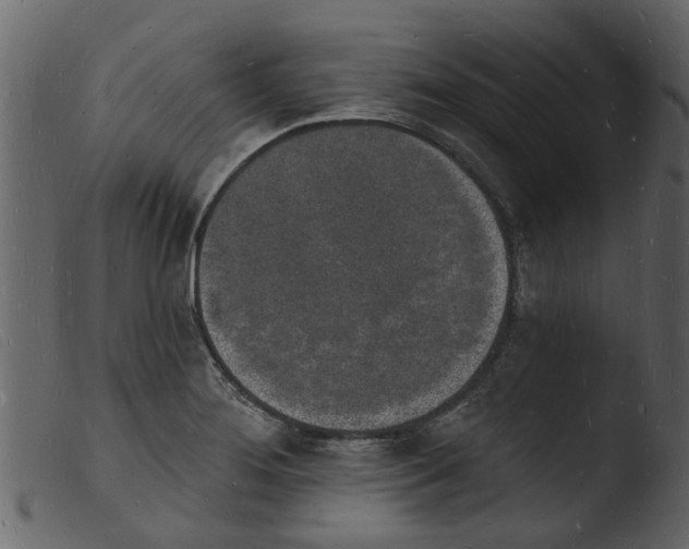 X0000103971276200810101259