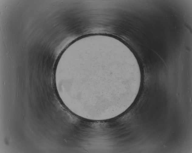 X0000103971277200810101259