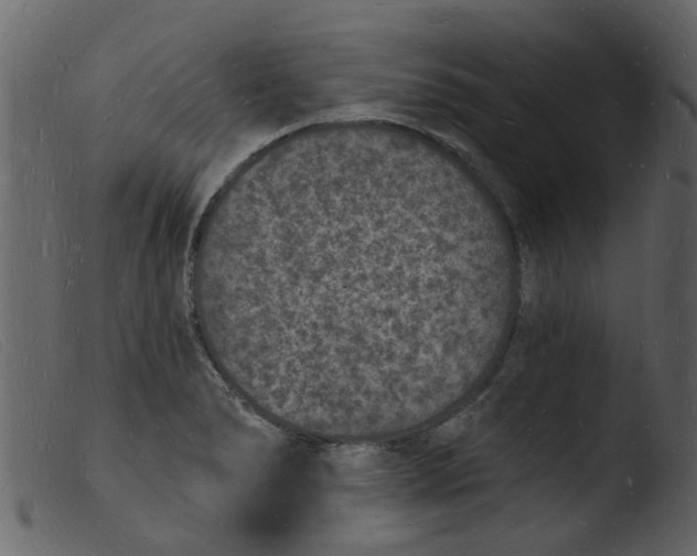 X0000103971278200810101259