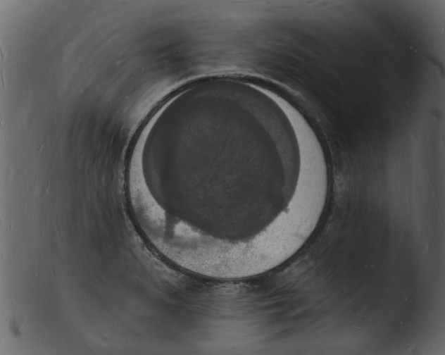 X0000103971279200810101259