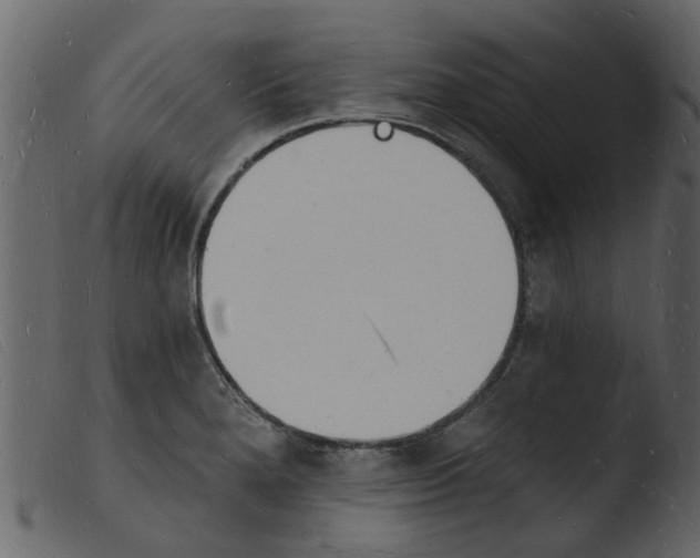 X0000103971280200810101259