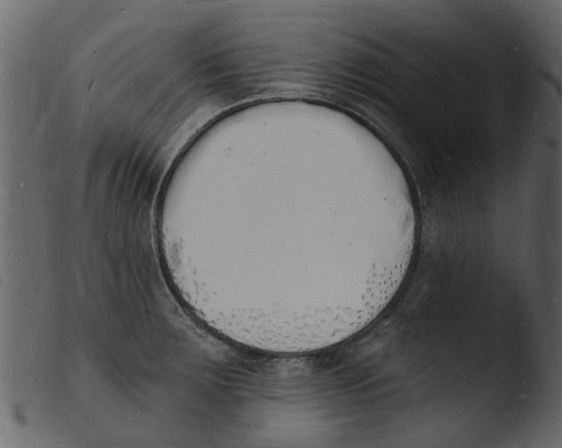 X0000103971283200810101259