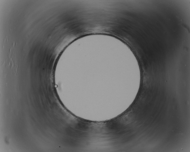 X0000103971285200810101259