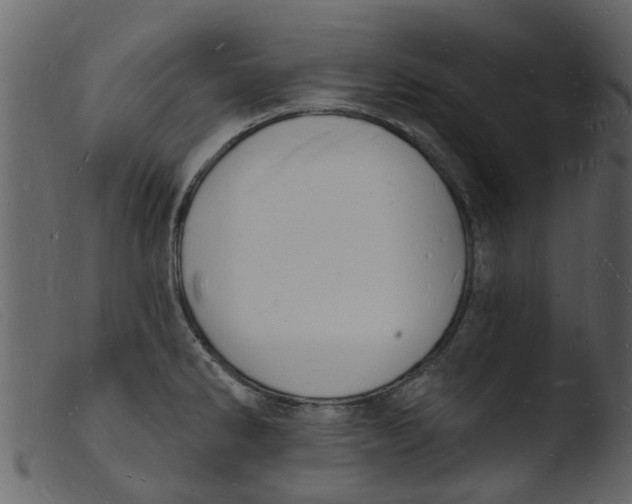 X0000103971286200810101259