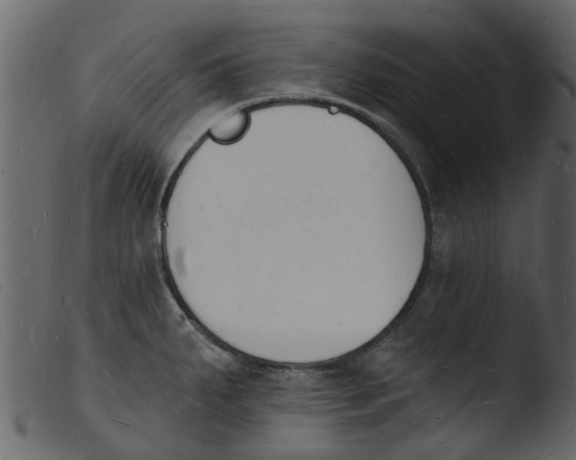 X0000103971287200810101259