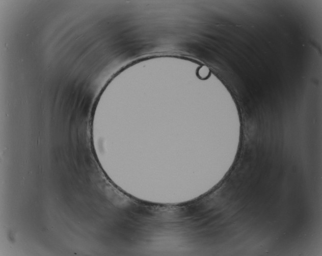 X0000103971288200810101259