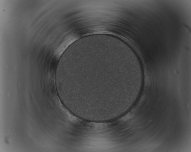 X0000103971289200810101259