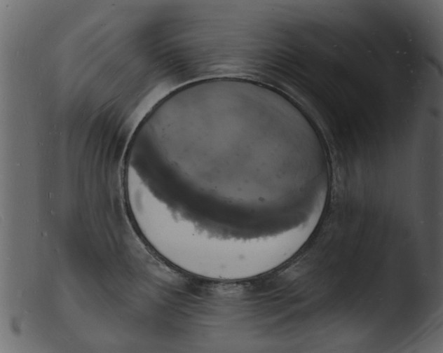 X0000103971291200810101259