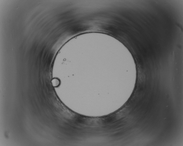 X0000103971292200810101259