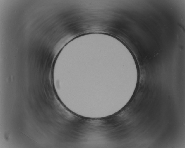 X0000103971293200810101259