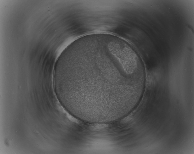 X0000103971294200810101259