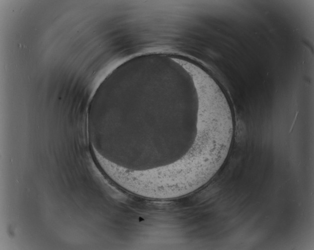 X0000103971295200810101259