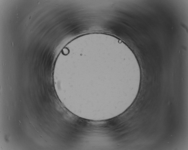 X0000103971296200810101259