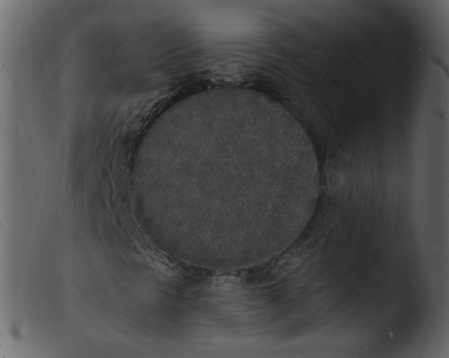 X0000103971297200810101258