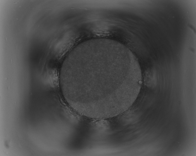 X0000103971298200810101258